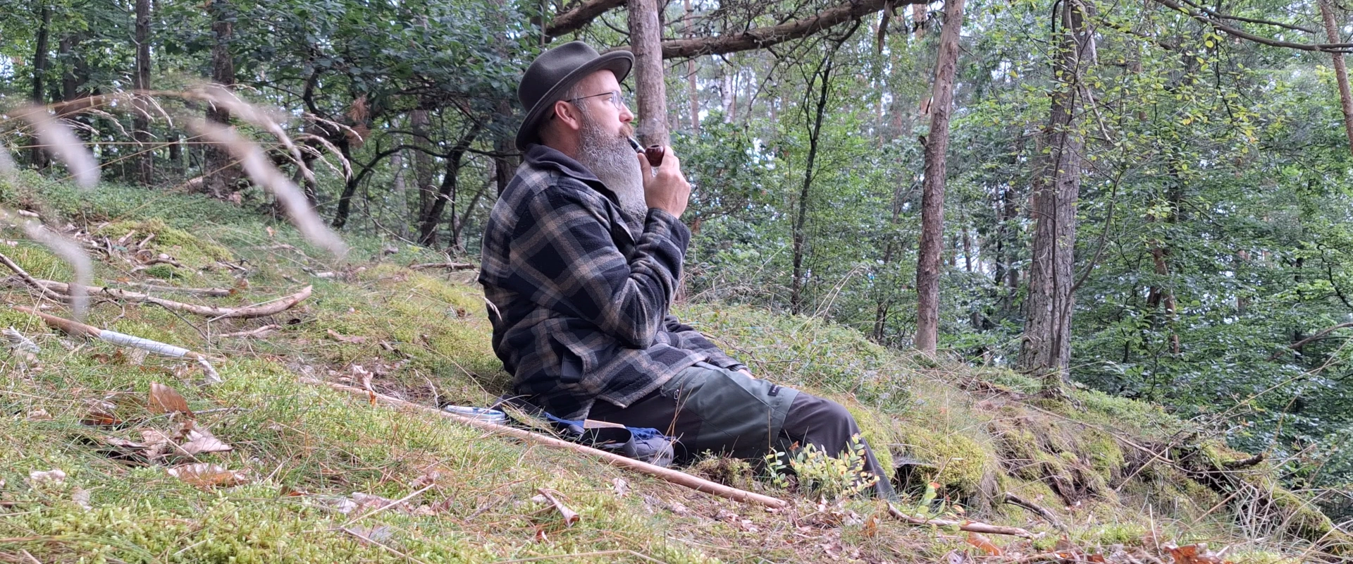 Natuur bos